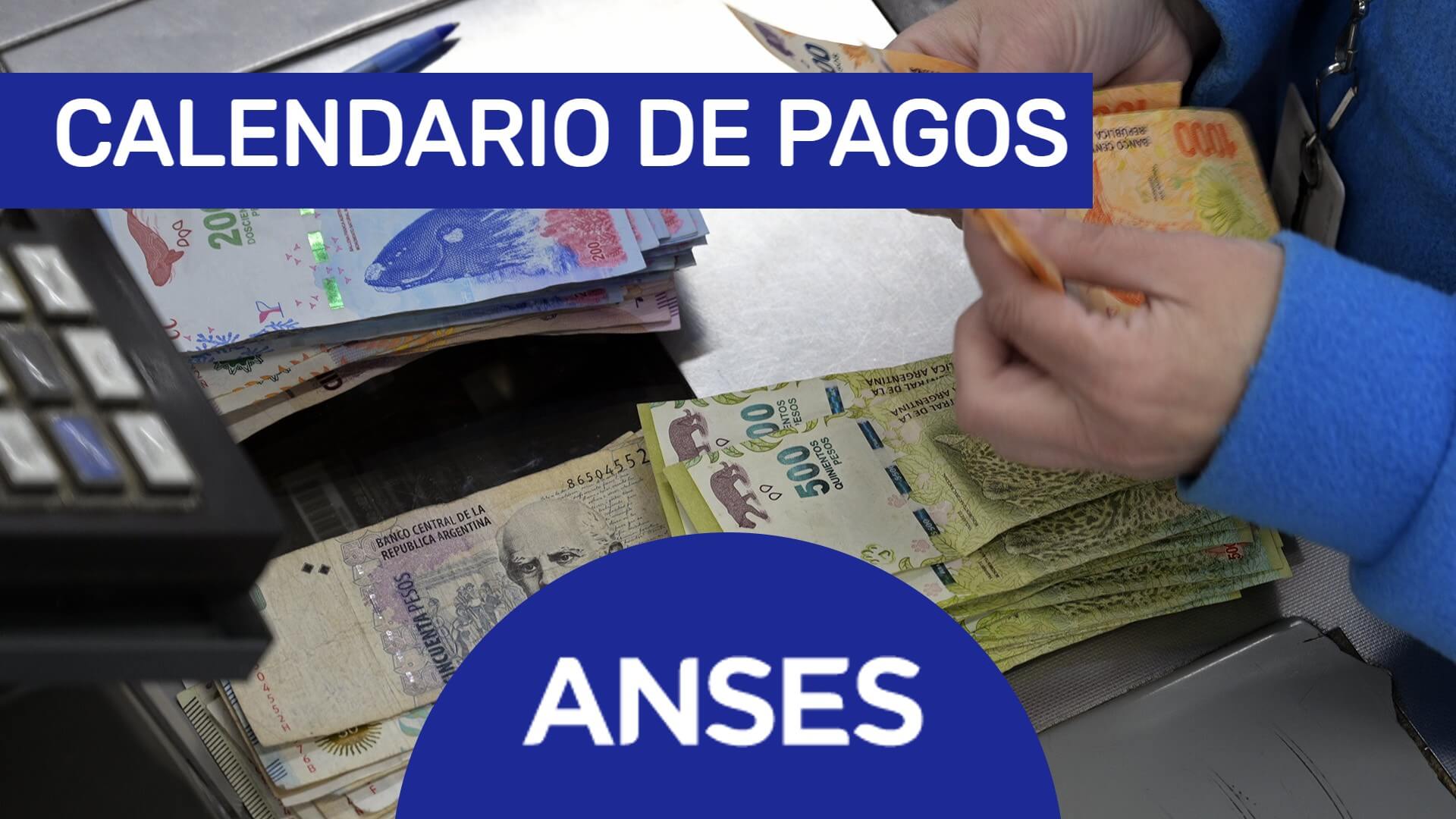 Anses publicó el calendario completo de febrero 2025