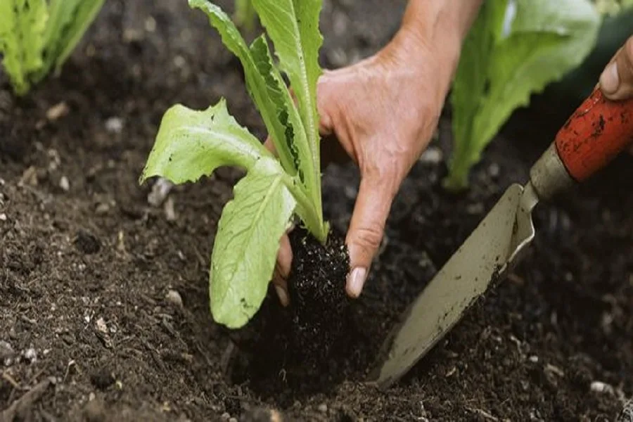 El Municipio de Río Grande inicia talleres del programa "Pro-Huerta"