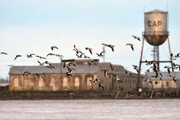 “Siempre visitándote… Río Grande”, de Gabriel Miño, fue una de las fotos ganadoras en 2010.