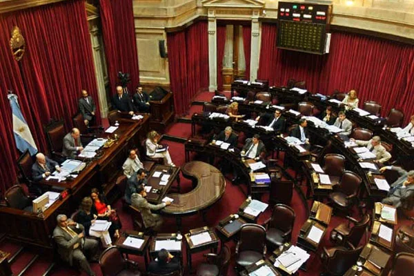 En el Congreso ya se debate la despenalización del aborto.