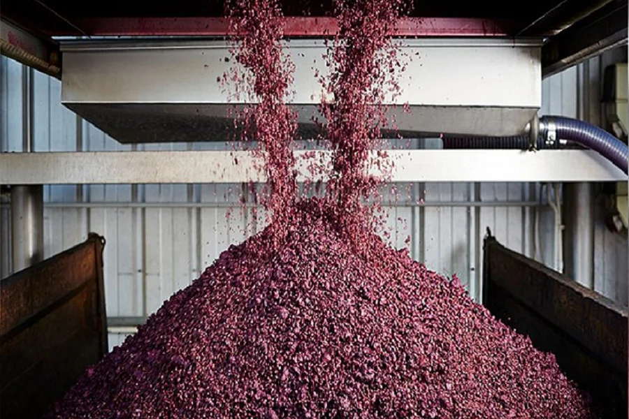 Bodega sanjuanina elabora harina de Malbec para hacer alimentos sin gluten