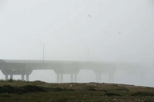 El puente General Mosconi, cubierto por la densa niebla.