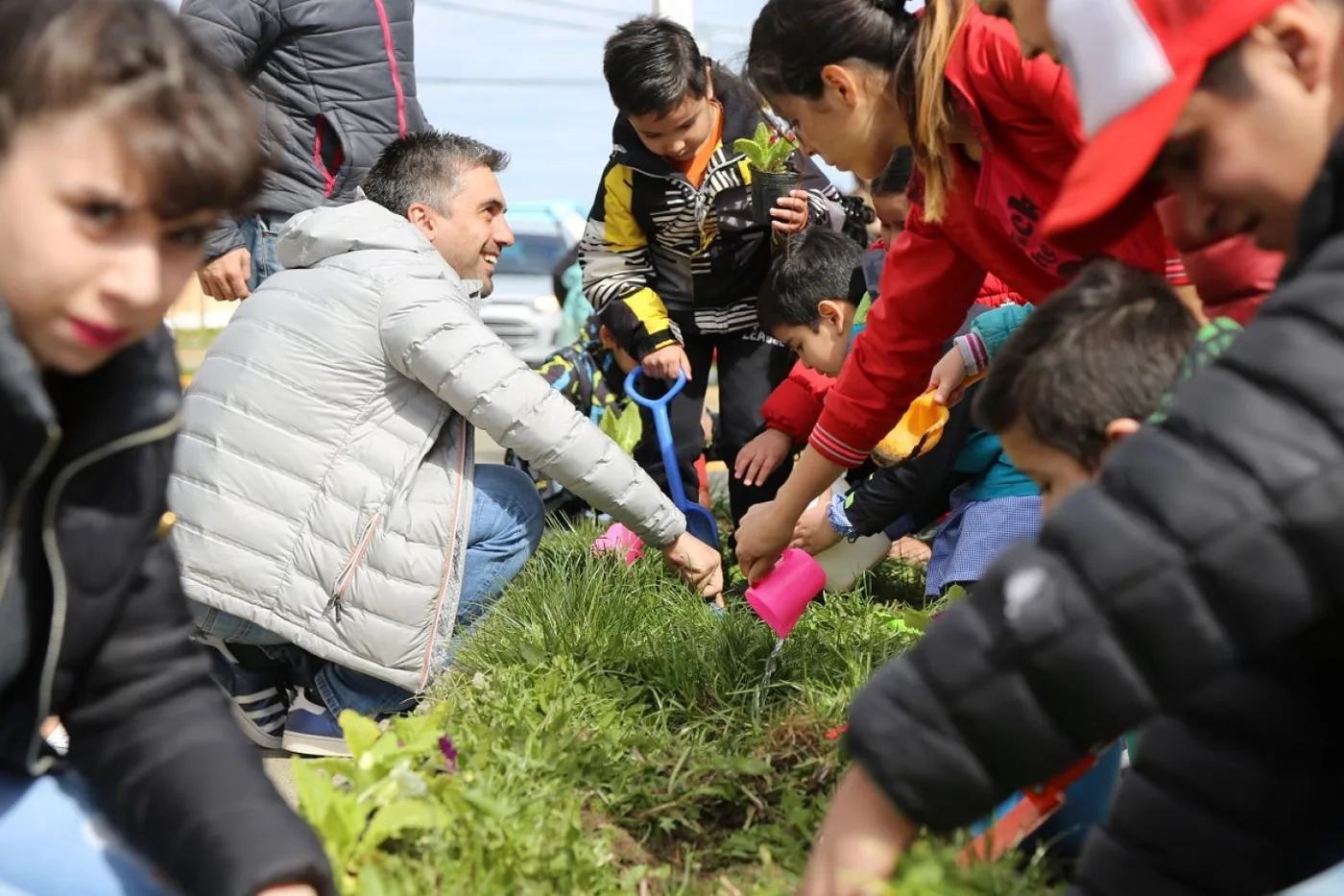 Recuerdan plantar un árbol para acceder a beneficios impositivos