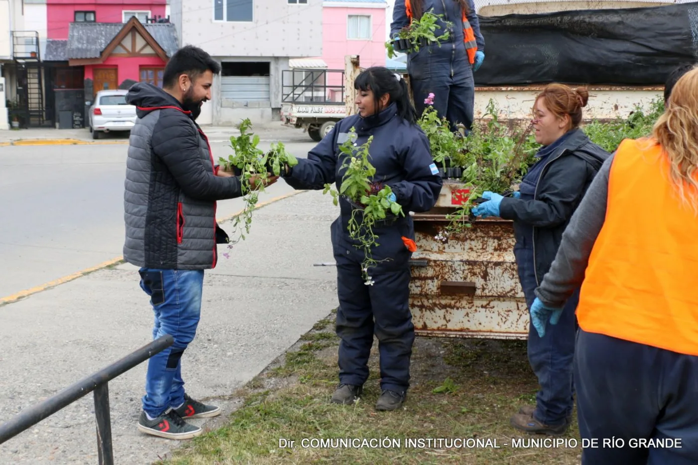 Entrega de plantines y árboles en la ciudad