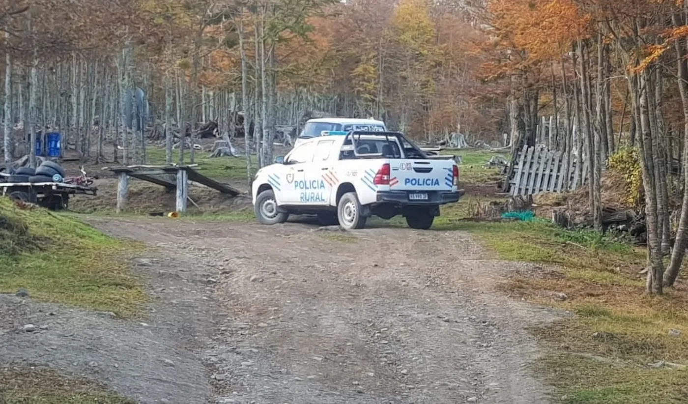 Vergonzoso: Investigan una denuncia de maltrato animal en Tolhuin