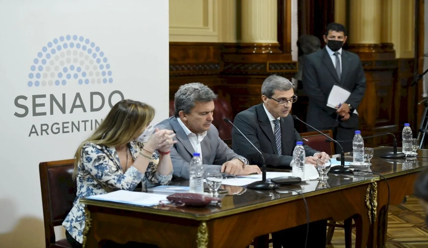 El Senado cierra el año con un último debate por Bienes personales