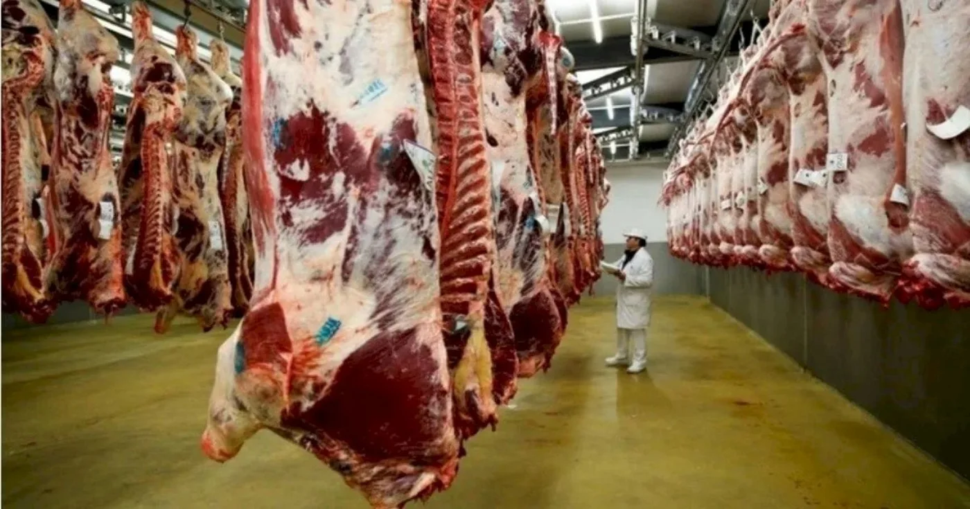 Argentina volverá a exportar carne vacuna a México luego de 22 años.