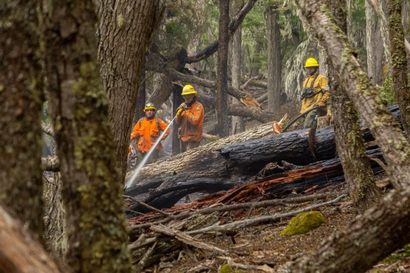 Gobierno dispondrá excepciones a la prohibición de encender fuego al aire libre