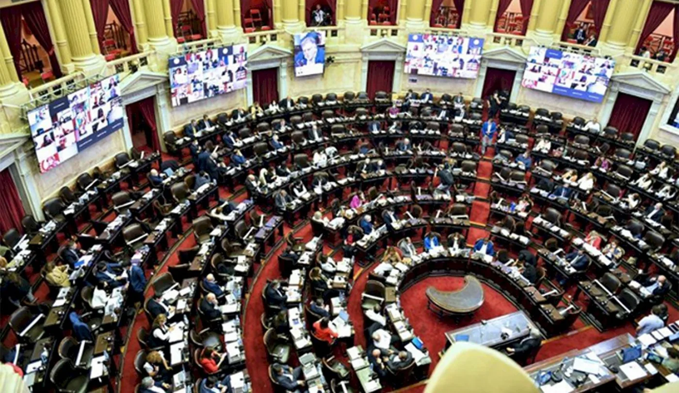 Cámara de Diputados de la Nación .