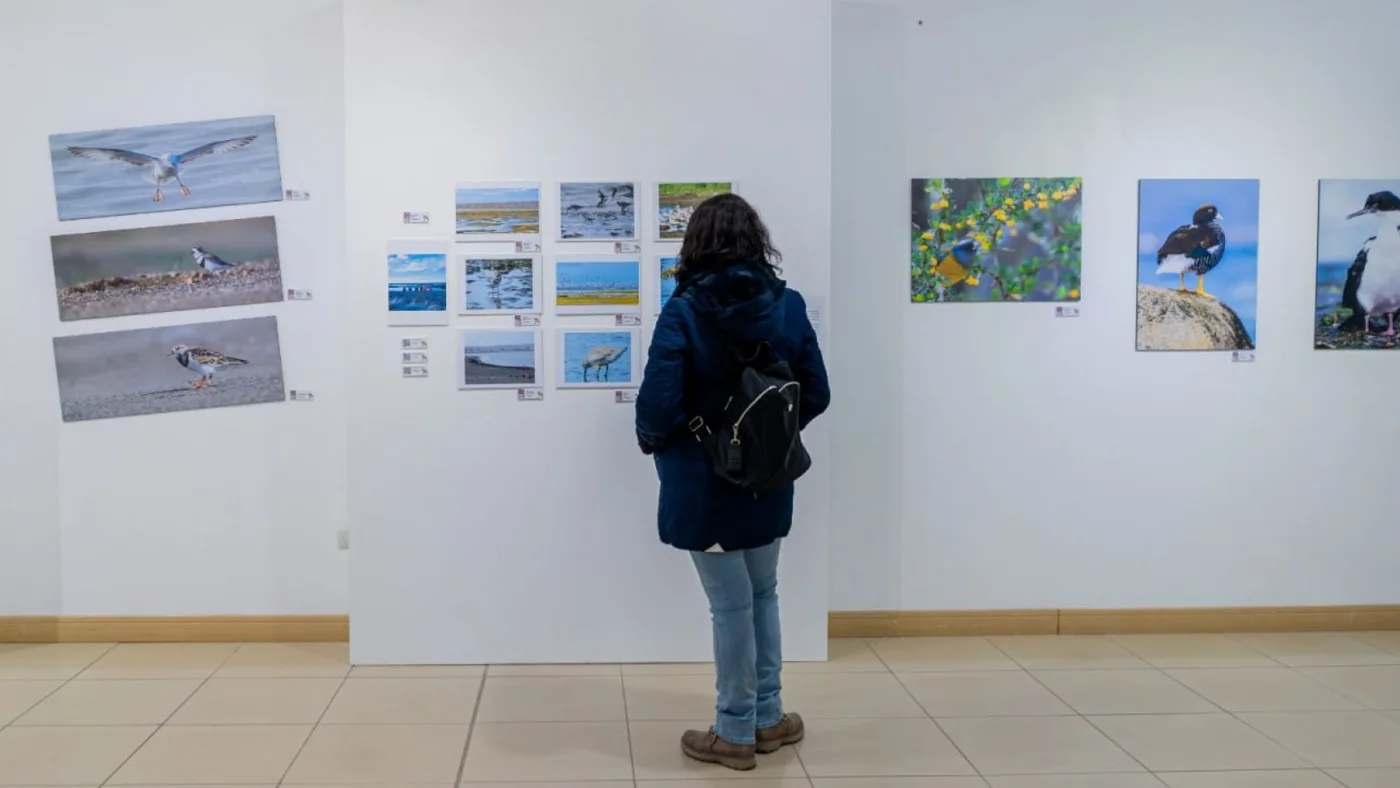 Se inauguró la muestra "Camino a casa: La Naturaleza"