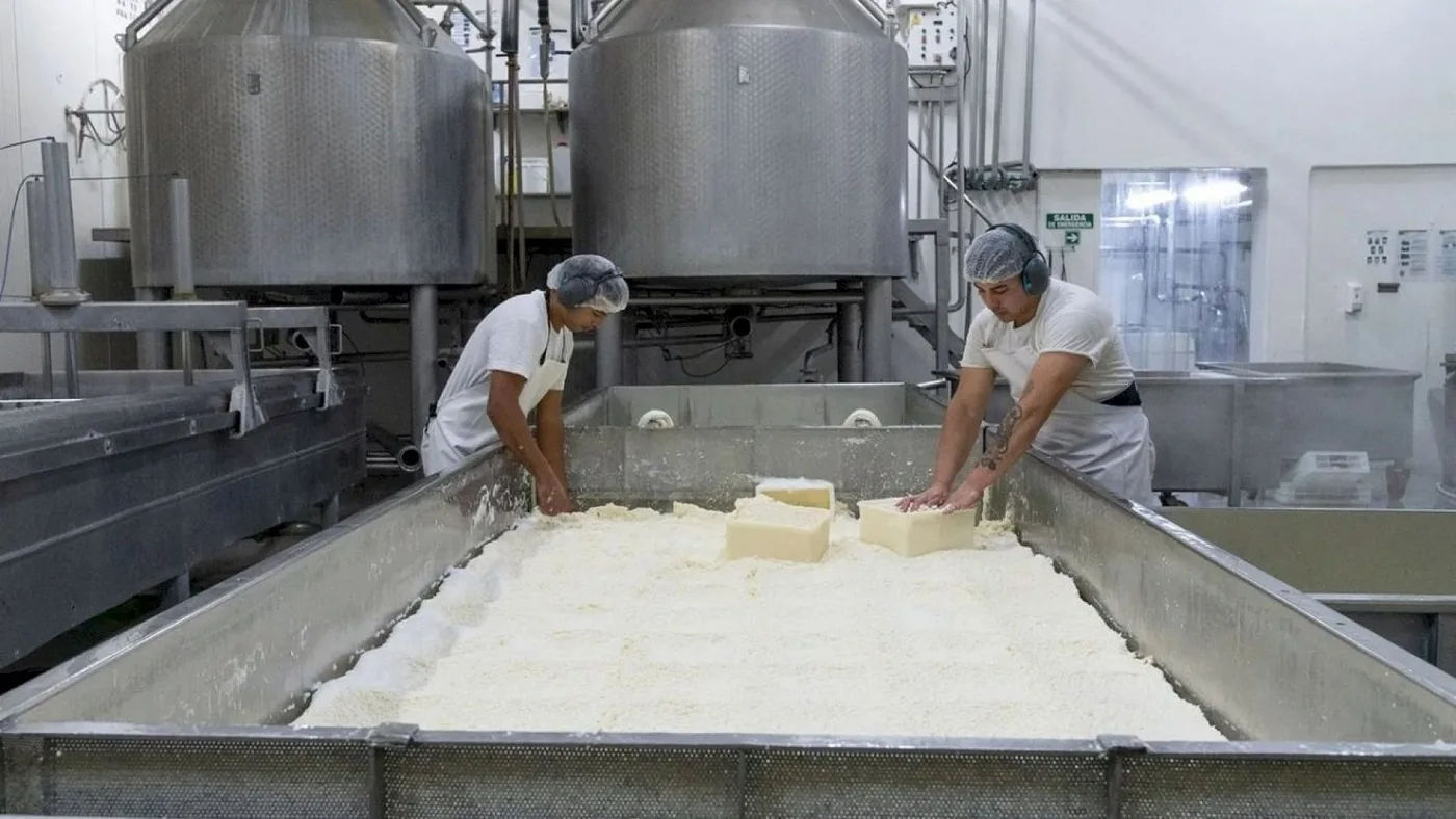 Pyme argentina desarrolló queso sin lactosa que exporta a Brasil