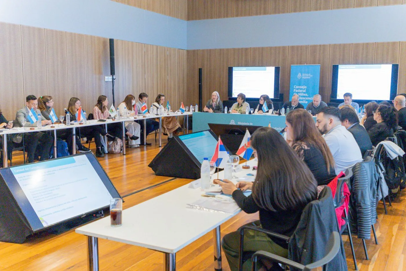 Tierra del Fuego participó del Consejo de Niñez, Adolescencia y Famillia