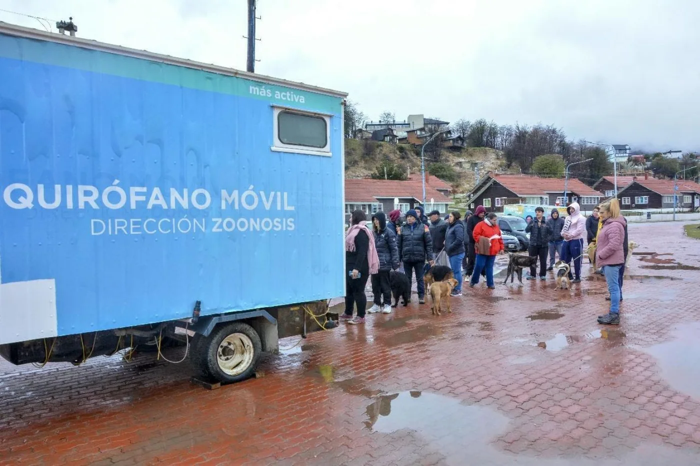 Jornada de "Zoonosis más cerca" en el Paseo de las Rosas.