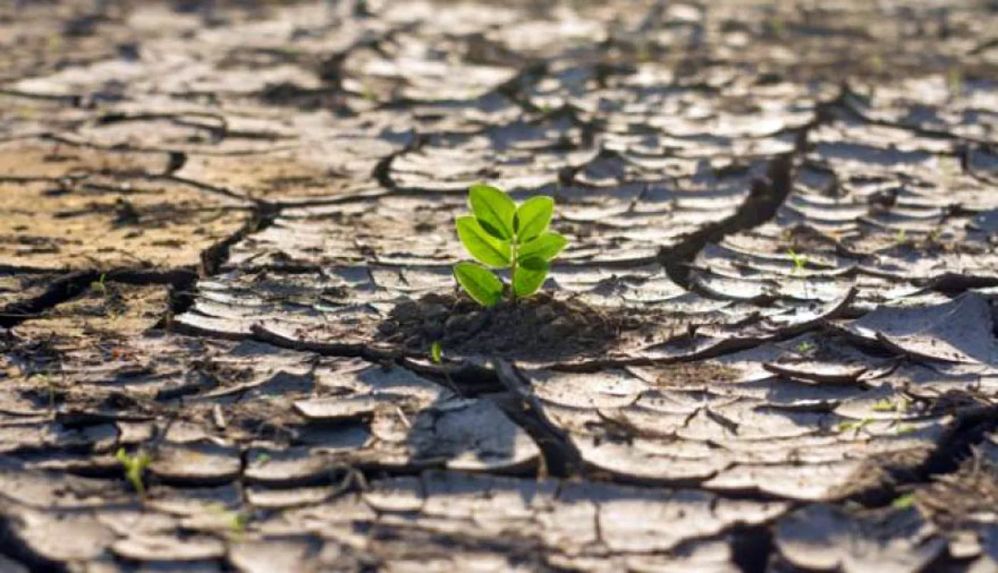 Ciudades de la Patagonia abordarán la crisis ambiental global