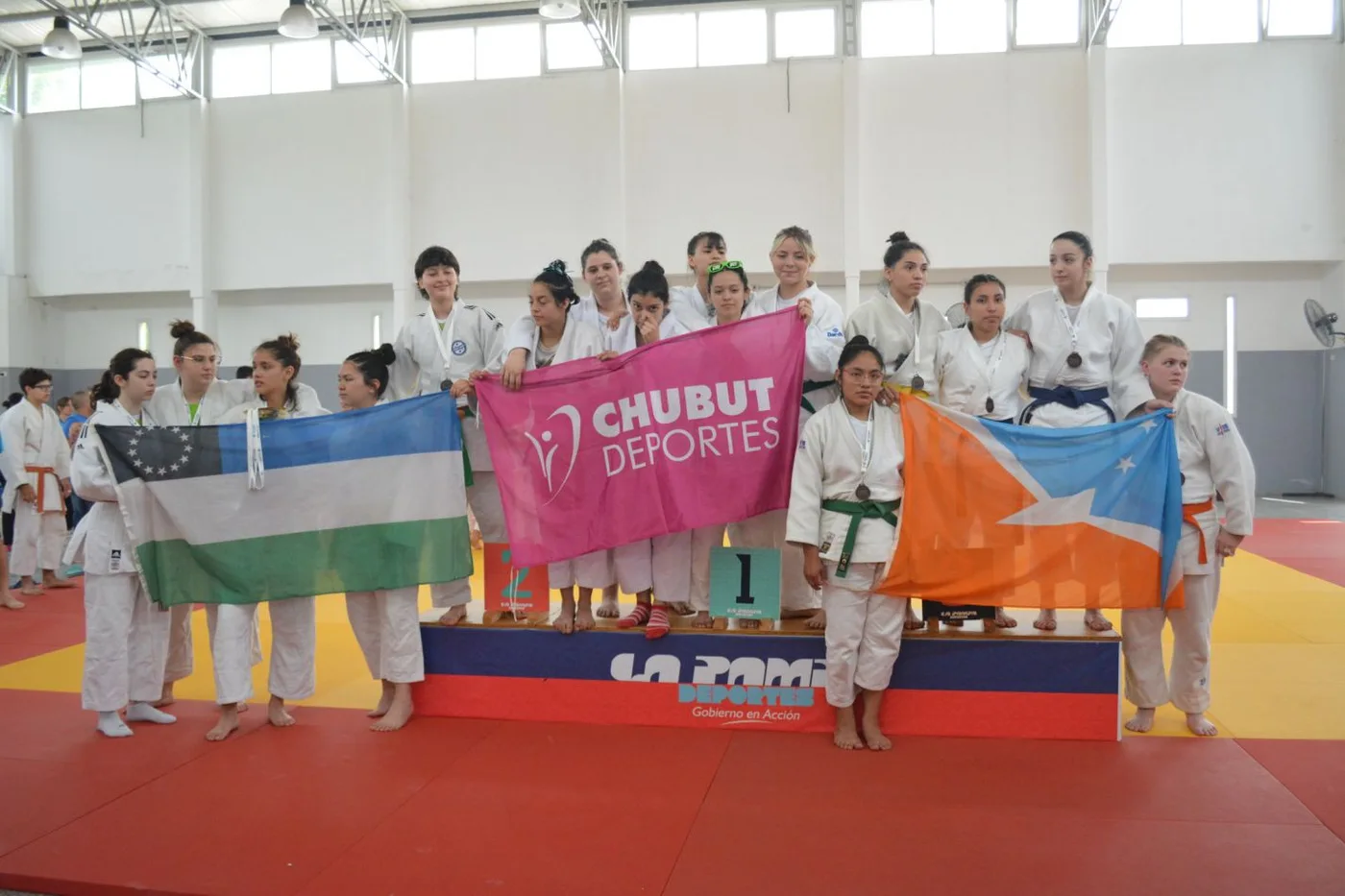 Judo femenino de Tierra del Fuego brilla con su segundo título patagónico.