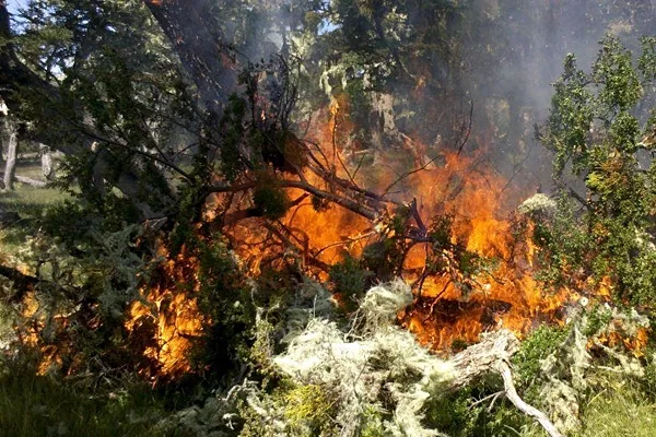 Los incendios en el campo fueguino son evitables con precaución.