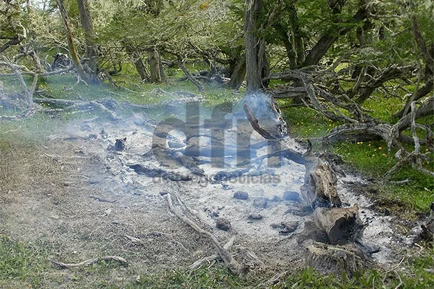 Los fogones mal apagados provocan incendios.