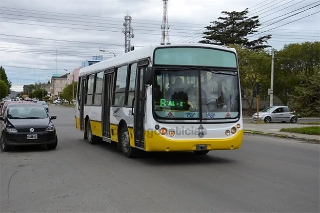 Linea Siete brinda servicios desde enero del presente año.