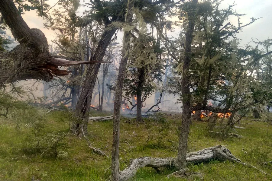 Incendio en dos estancias, uno sin control en medio de fuertes ráfagas