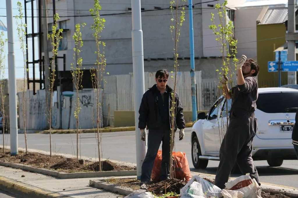 Avanza la forestación y parquización de la Av. Prefectura Naval