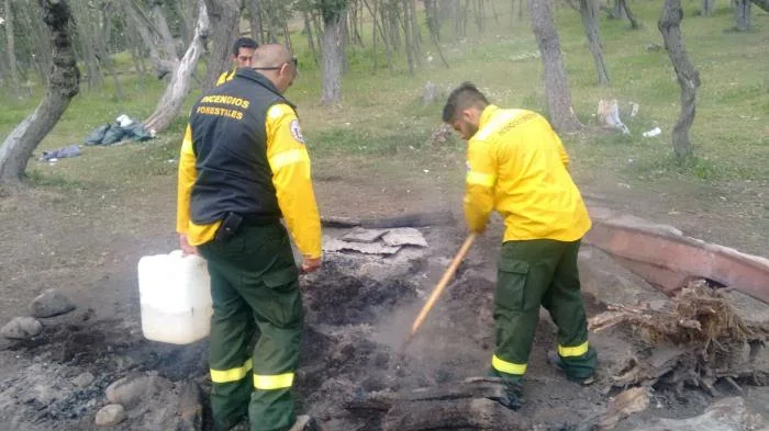 Incendios forestales: Gobierno intensificó los controles en zonas rurales