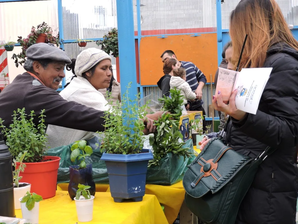 Importante respaldo de la comunidad a la feria ‘Rico, local y saludable’