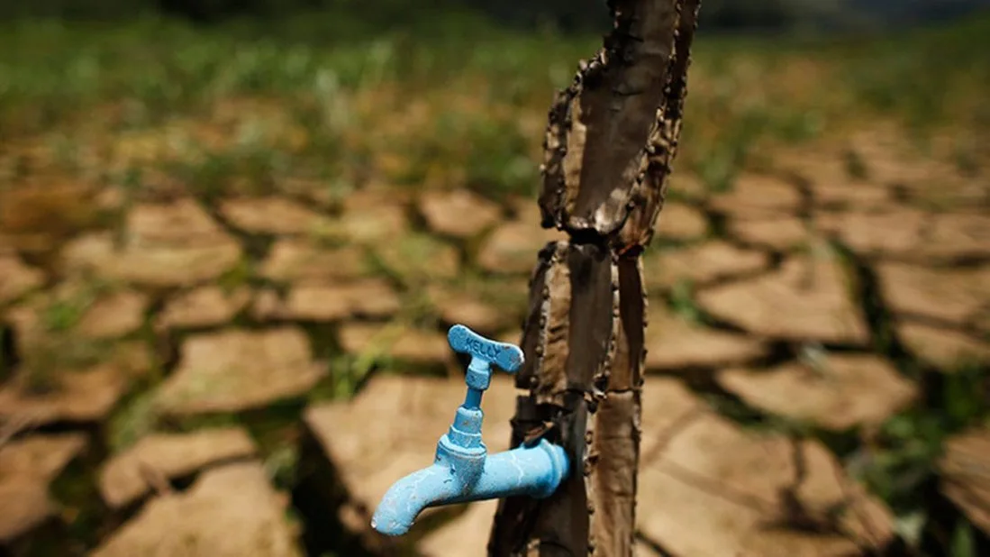 Crean un sistema para reutilizar el agua de lluvia