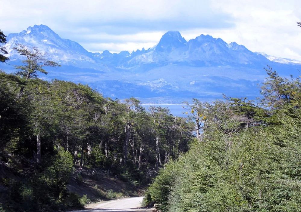 Irán a juicio por talar más de 200 árboles en el Parque Nacional Tierra del Fuego