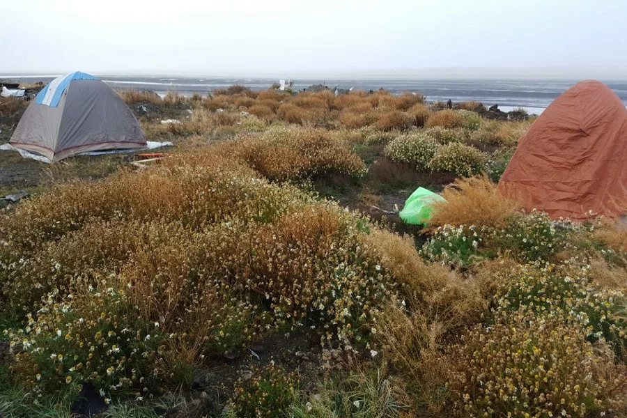 Intentaron usurpar terrenos en Río Grande