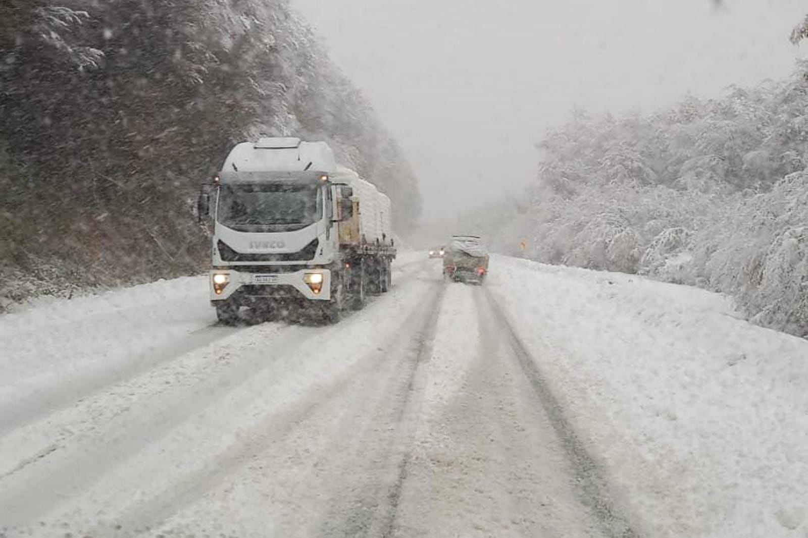 Alerta por nevadas y fuertes vientos en la zona cordillerana