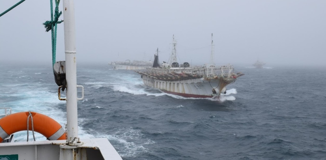 Lechman exige esclarecimiento sobre la pesca ilegal de flotas chinas bajo bandera argentina