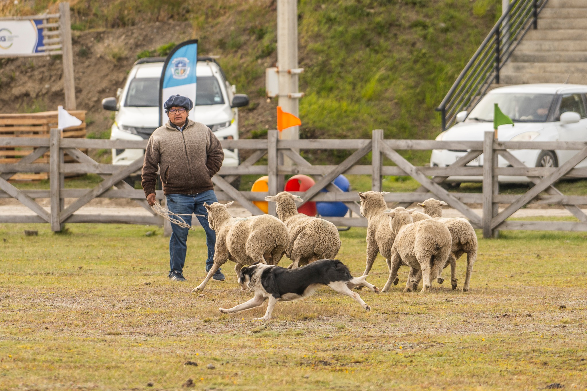 La Fiesta del Ovejero se prepara para su 51ª edición