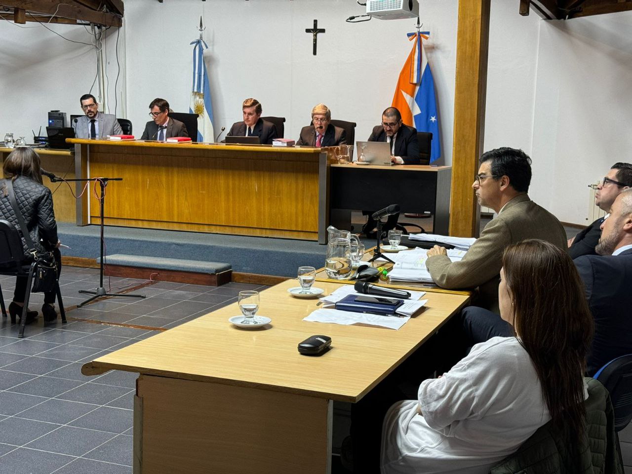 Tribunal de Juicio en lo Criminal del Distrito Judicial Sur .