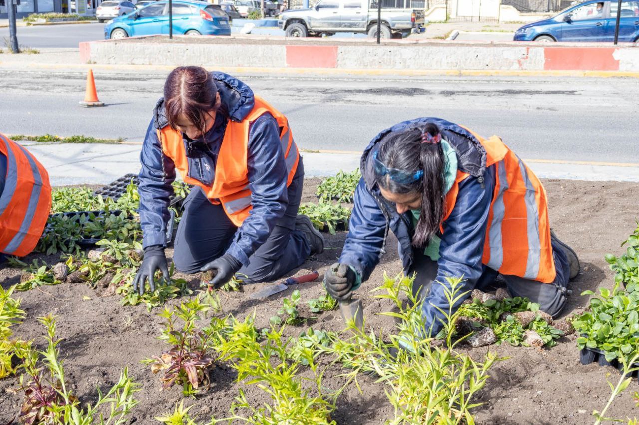 Siguen los trabajos de embellecimiento en Río Grande