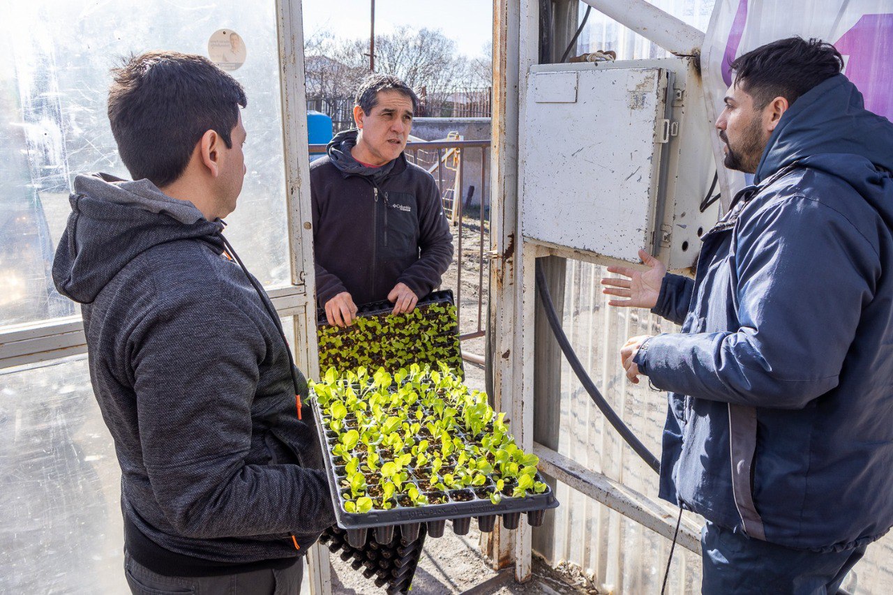 Comenzó la entrega de plantines de verduras a productores de Río Grande