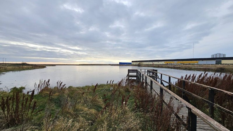 Reserva Laguna de los Patos.