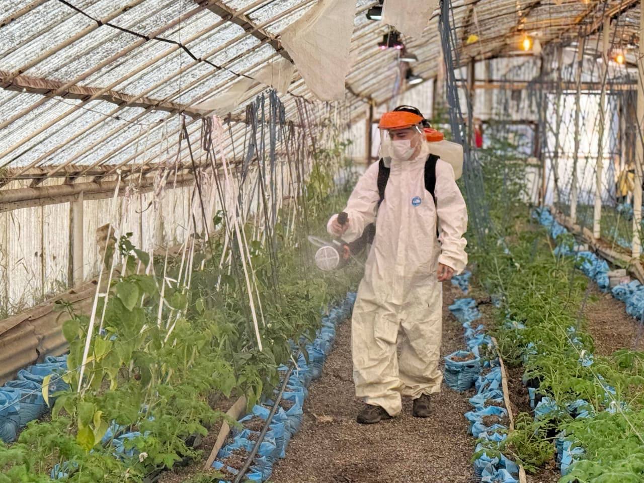 Preparativos en el invernadero hidropónico ubicado en la Misión Salesiana