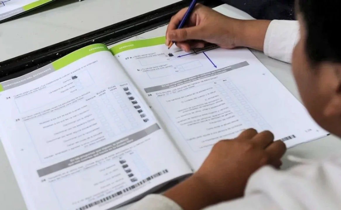 Evaluaciones bienales: el Gobierno implementa alternancia entre censales y muestrales para medir aprendizaje