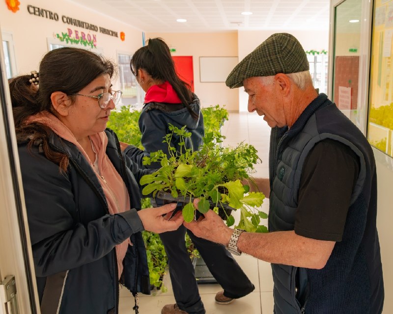 Municipio de la ciudad entregará 50.000 plantines y abrirá nuevos cupos