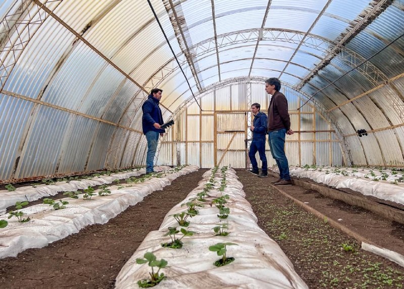 La Chacra Agroexperimental busca dar escala provincial a su trabajo