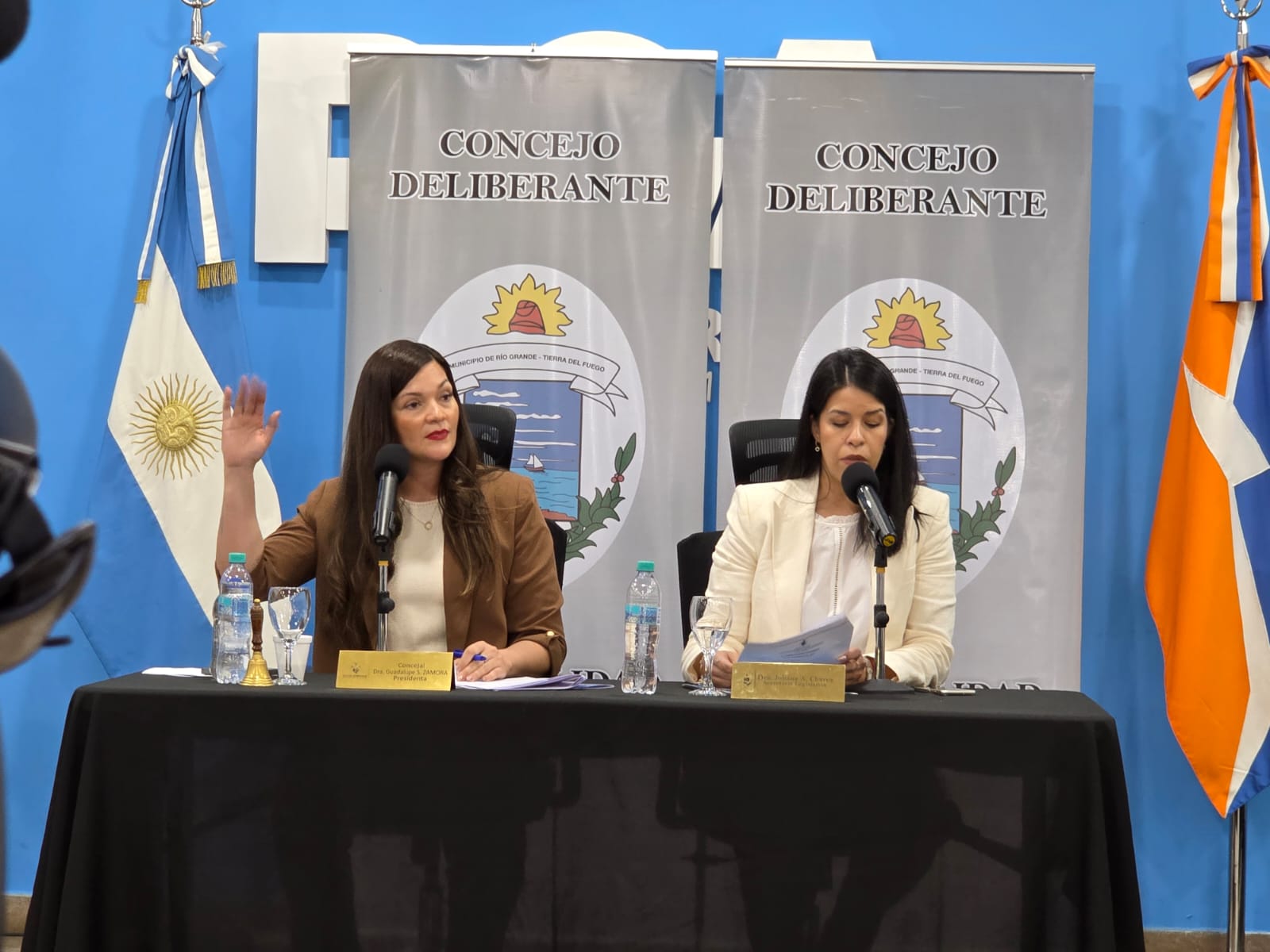 concejo deliberante guada